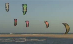 click here to view the video